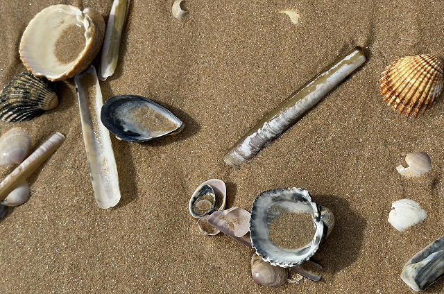 Экскурсии из Лиссабона к океану